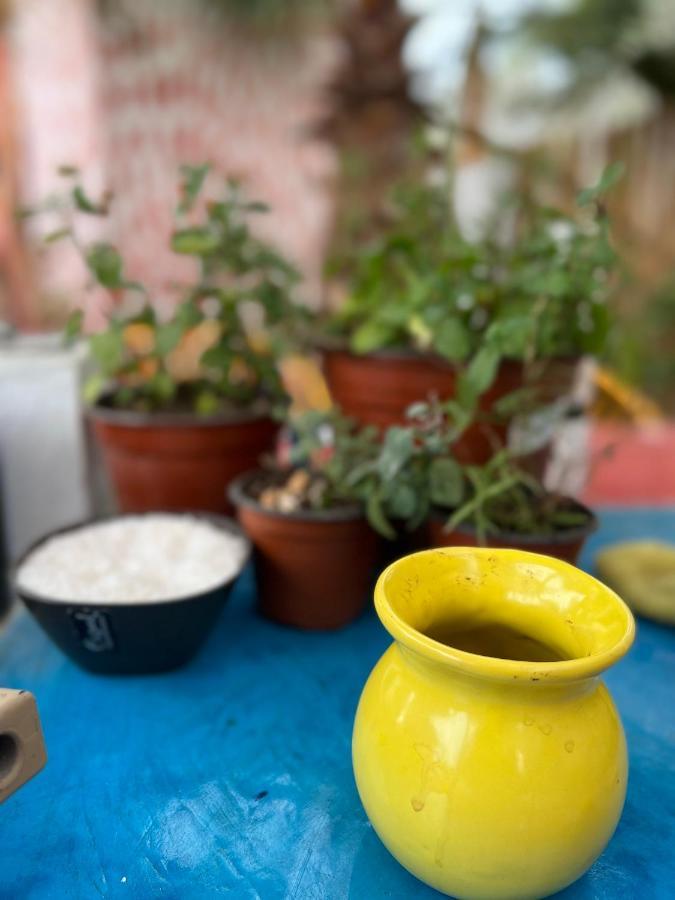 La Sardina Hostel Todos Santos Kültér fotó