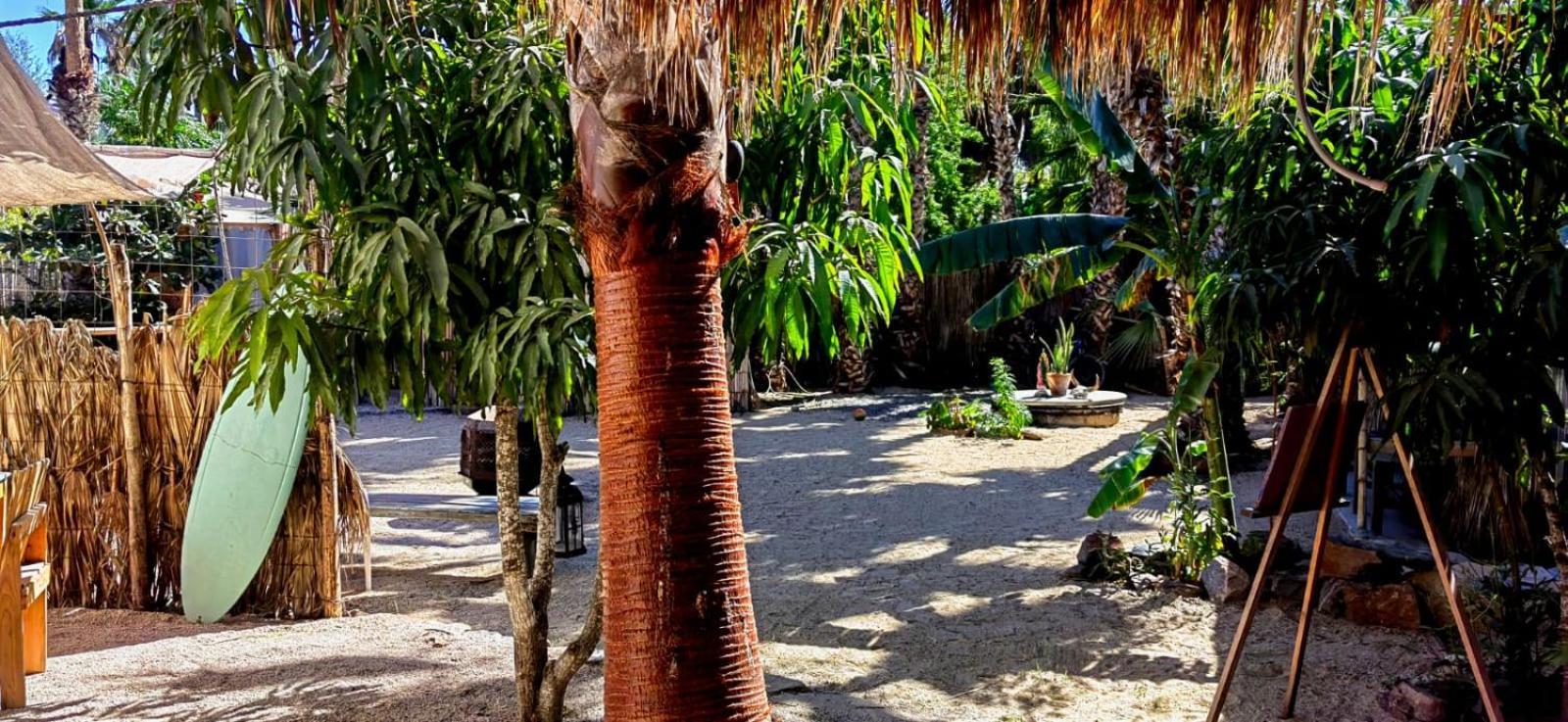 La Sardina Hostel Todos Santos Kültér fotó