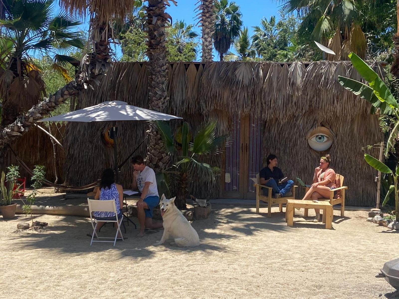 La Sardina Hostel Todos Santos Kültér fotó